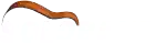 SoloBand Logo